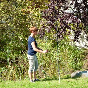 3-Aufbiegen-der-Halme